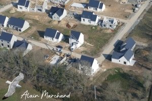 P1580692 2023 03 02 Allée Des Aigrettes, Des Spatules